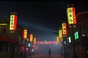 《候鸟停靠站》湿地芦苇与成群飞鸟